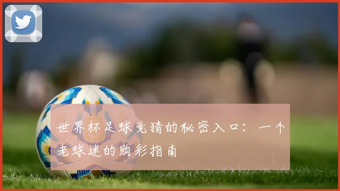世界杯足球竞猜的秘密入口：一个老球迷的购彩指南